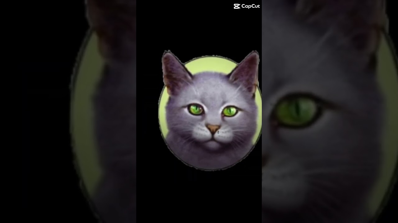 L&rsquo;amour impossible de Poil de Bourdon et de Aile de Colombe #laguerredesclans #lgdc #warriorcats