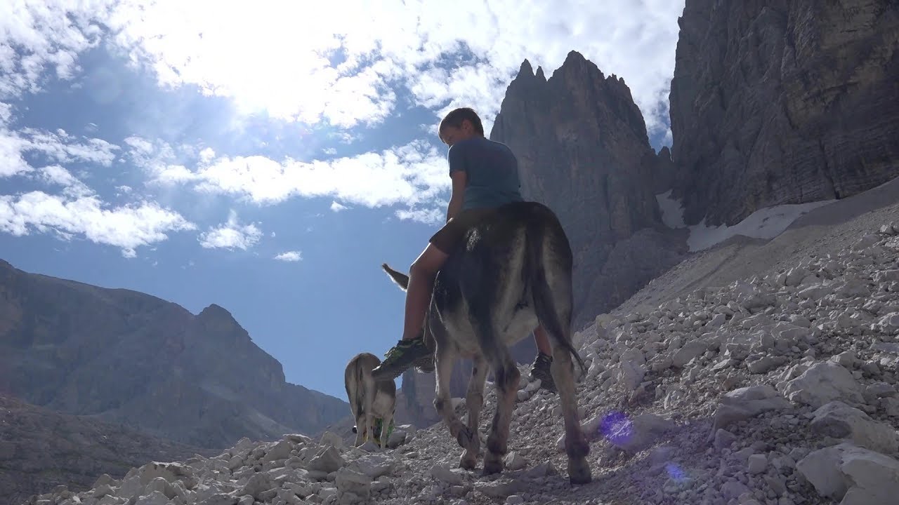 Storie di piccoli montanari, asini e confini inesistenti...