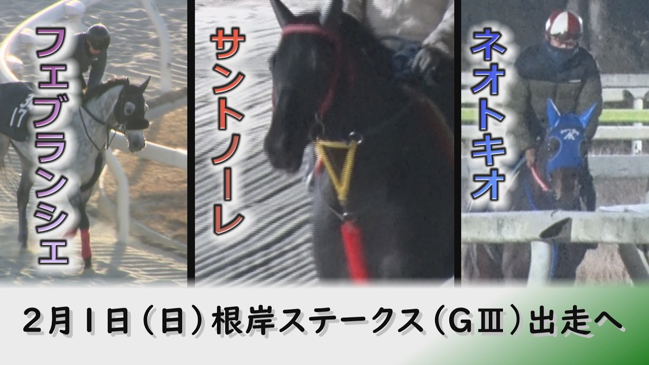 2026根岸ステークス（GⅢ）サントノーレ・ネオトキオ・フェブランシェ特集