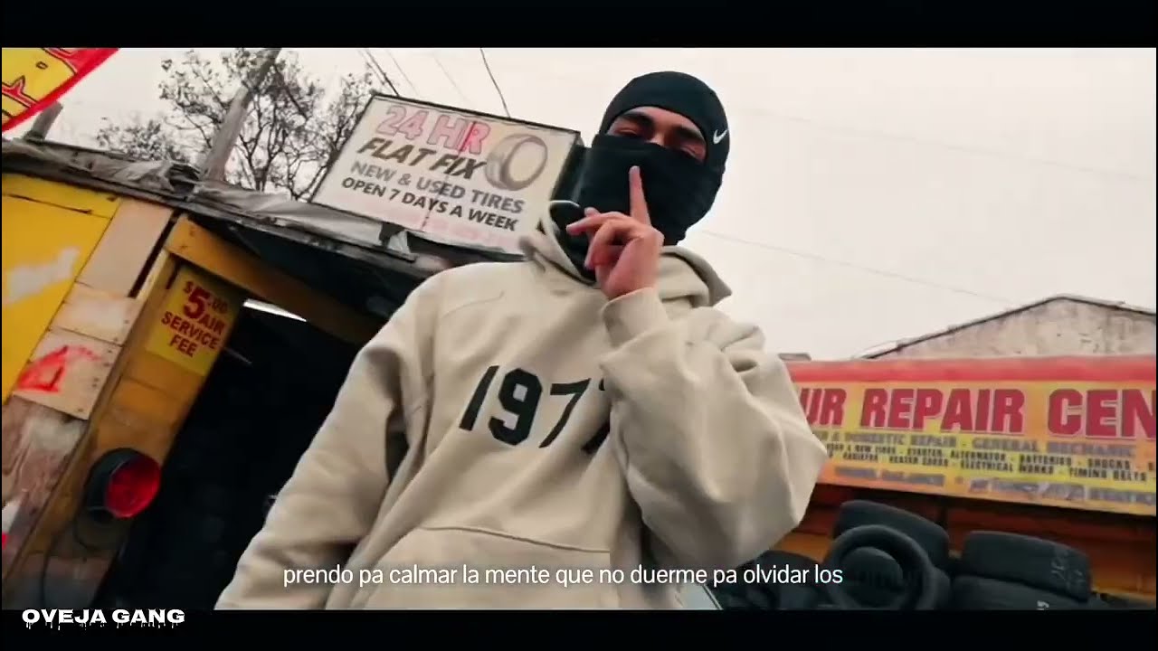 THELASTKNG - royalty forever 🔥 (video original) 