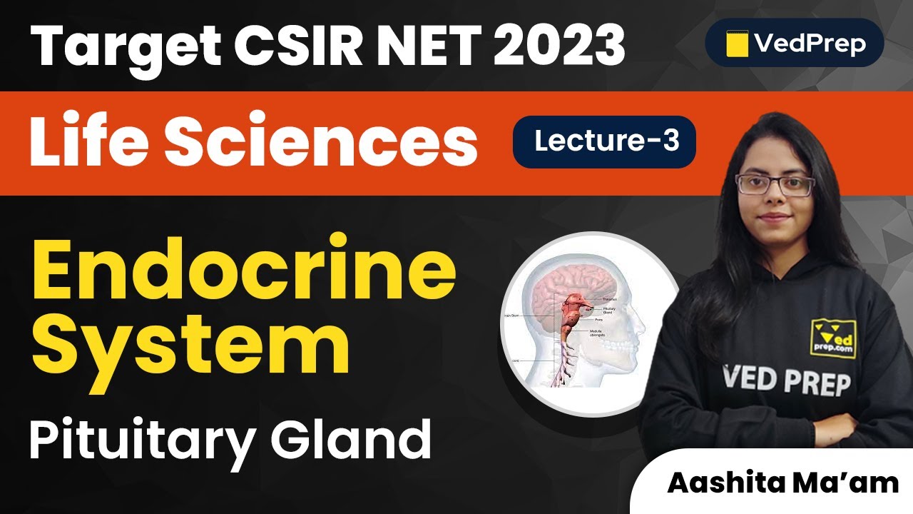 Pituitary Gland | Endocrine System | CSIR NET 2023 Life Sciences | VedPrep Biology Academy