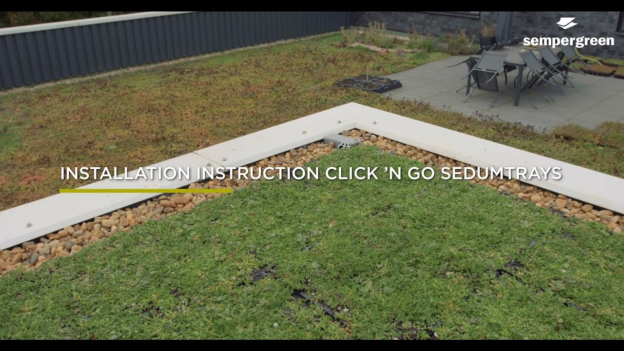 Installation Sempergreen Click 'n go Sedumtrays
