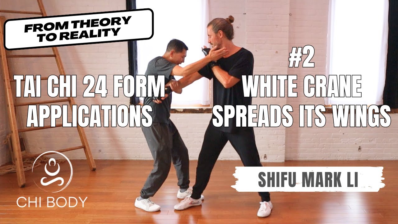 Tai Chi 24 Form Practical Applications #2: White Crane Spreads Its Wings