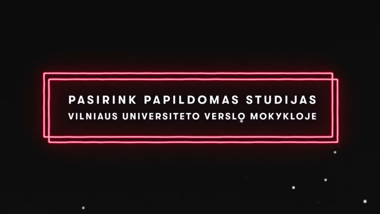 Papildomosios studijos VU Verslo mokykloje