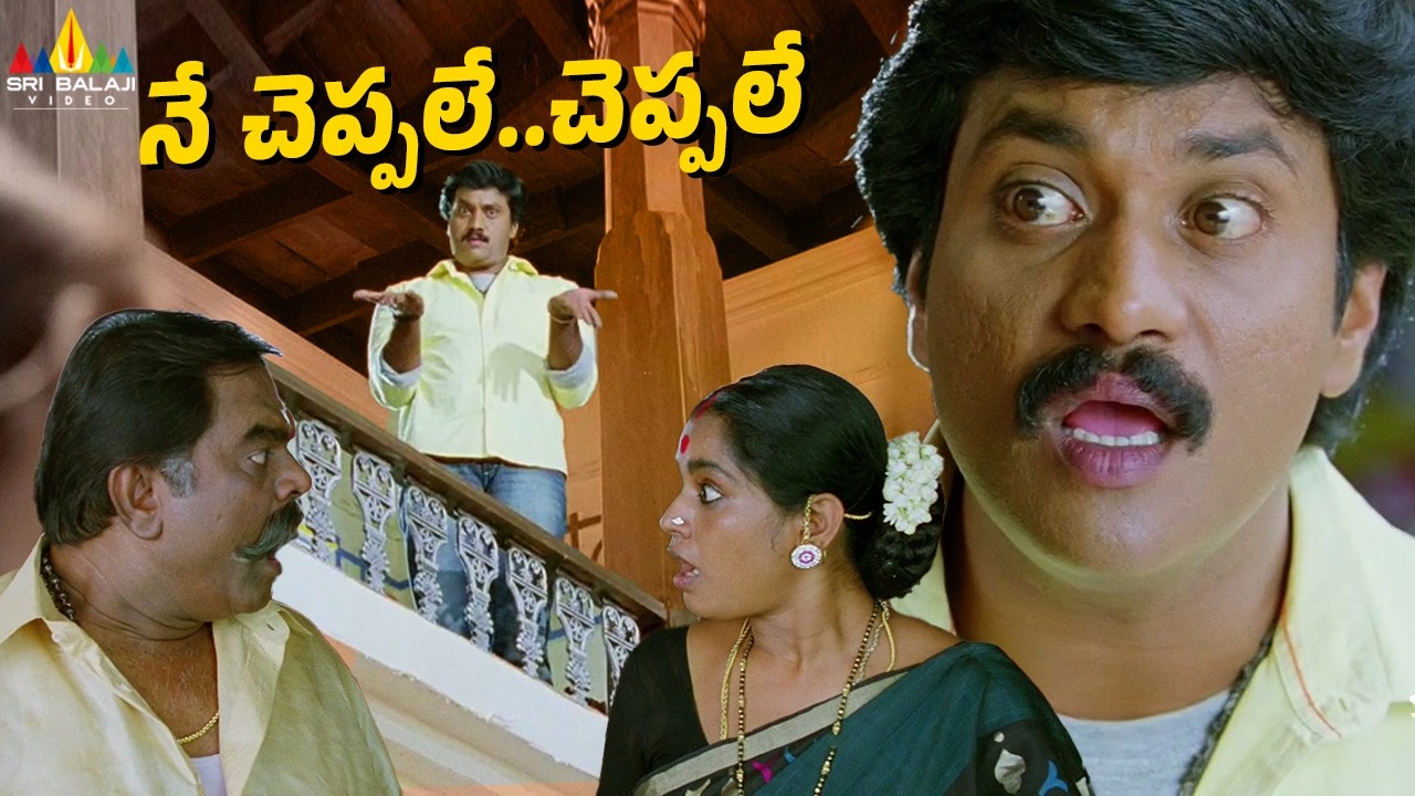 నే చెప్పలే..చెప్పలే | Sunil's Comedy with Jayavani | Maryada Ramanna | Telugu Movie Scenes | Saloni