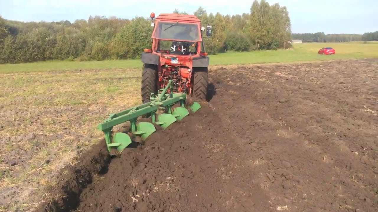Orka MTZ 82 + pług 5 skibowy (13.09.2025)