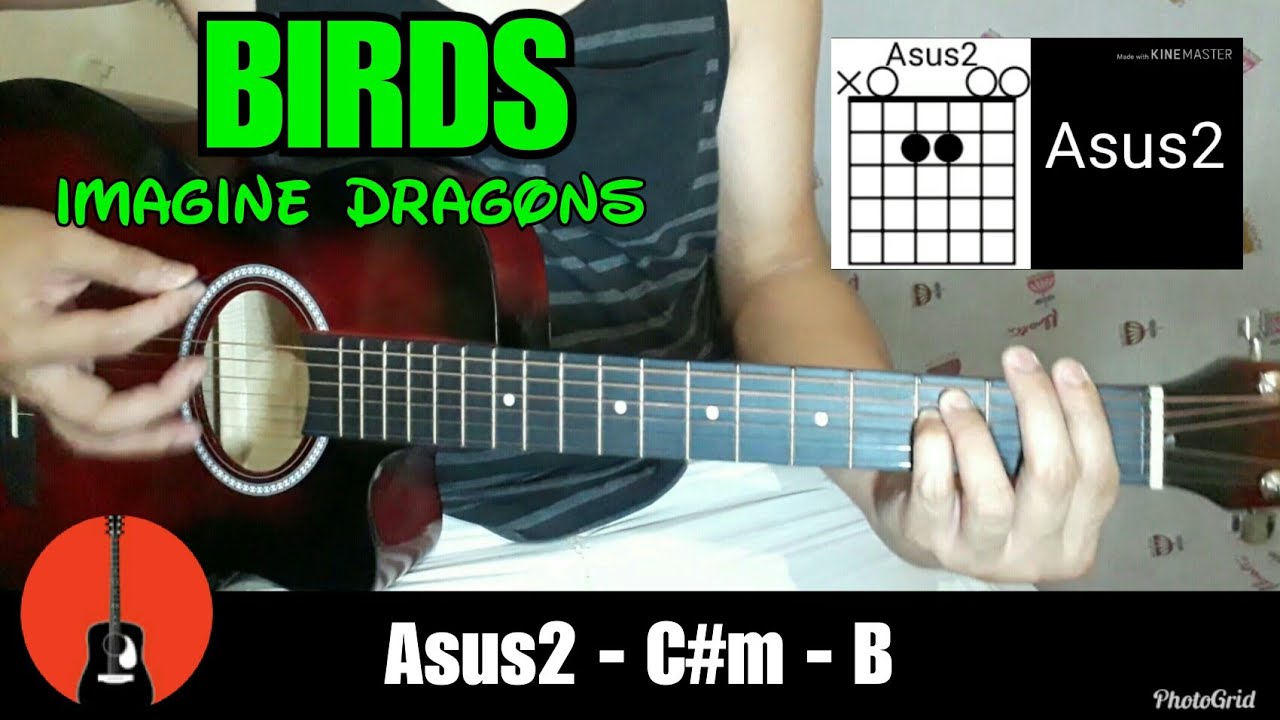 Imagine Dragons - Birds Guitar Cover | Guitar Chords Tutorial | normanALipetero