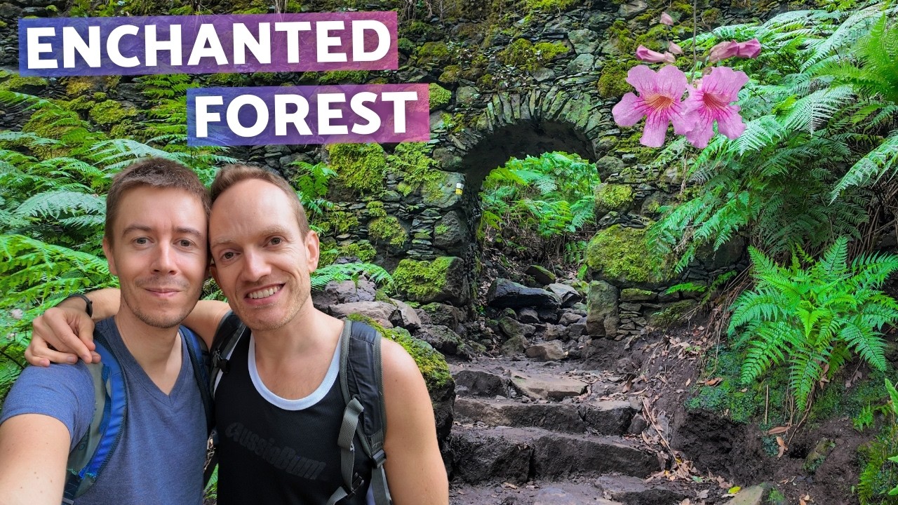 Deep in the mysterious jungle of La Palma (Canary Islands) | Trip to Cubo de la Galga