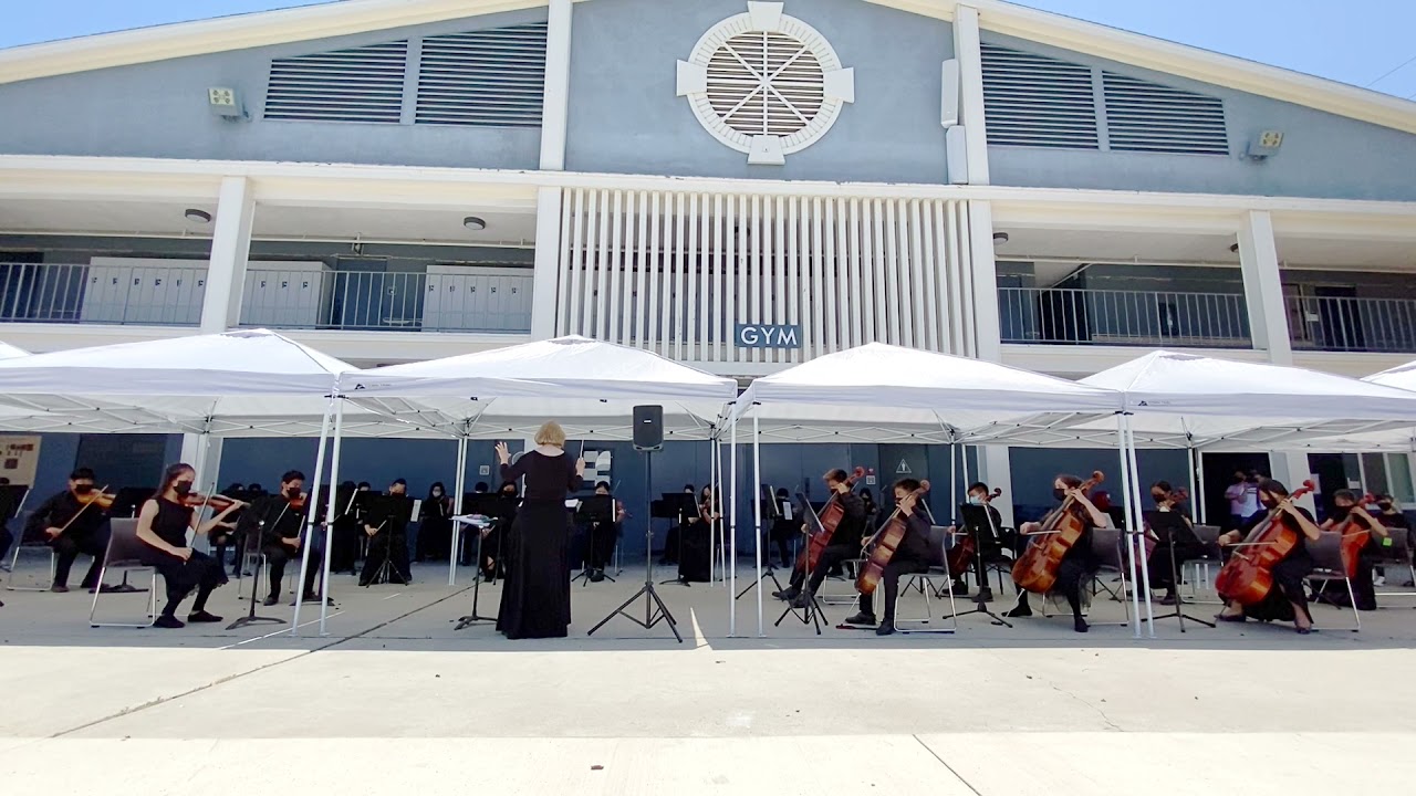Swamp Thang (Richard Meyer) Chamber Orchestra 2021