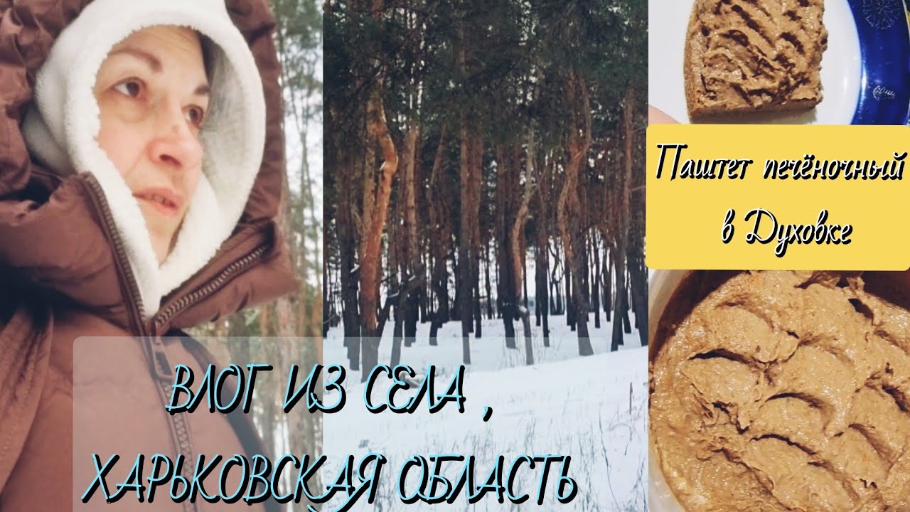 7. ХАРЬКОВ/ЗМИЁВ. Как распознать маньяка? ПЕЧЕНОЧНЫЙ ПАШТЕТ! ВСЕ АЭС НЕ ДЕЛАЮТ ЭЛЕКТРИЧЕСТВО!