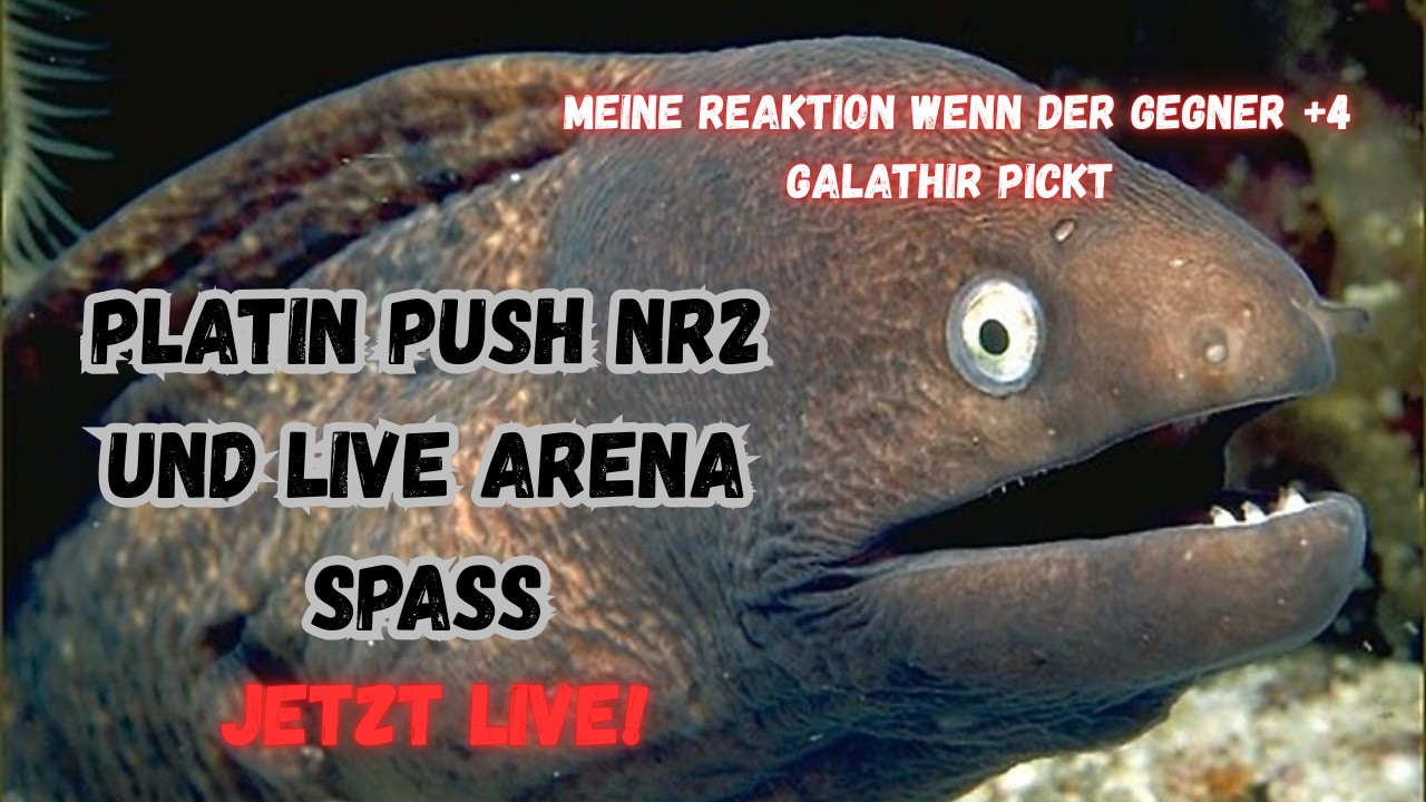 Accounthile! Platin Push nr2 und Live Arena Spaß
