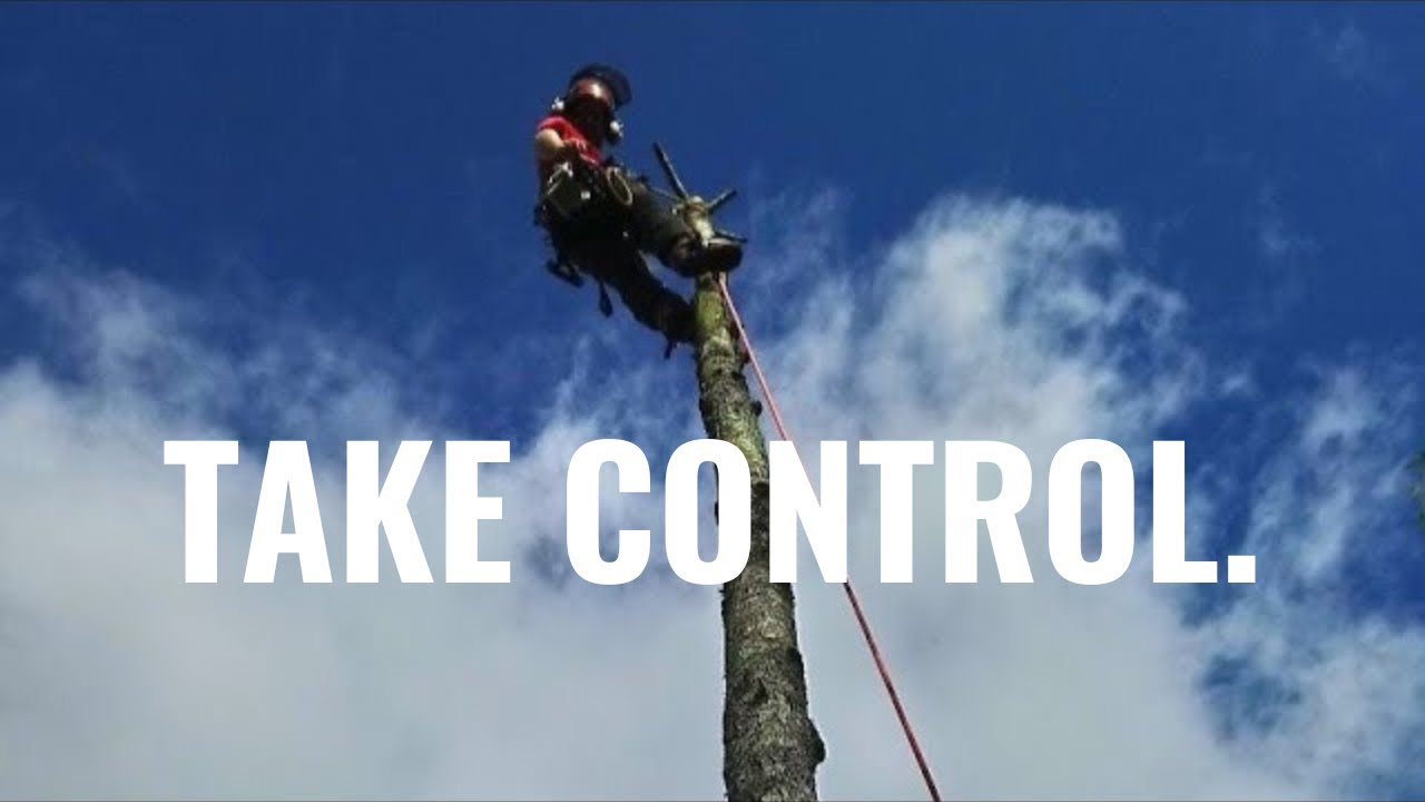 Fear when climbing trees? This could help! 