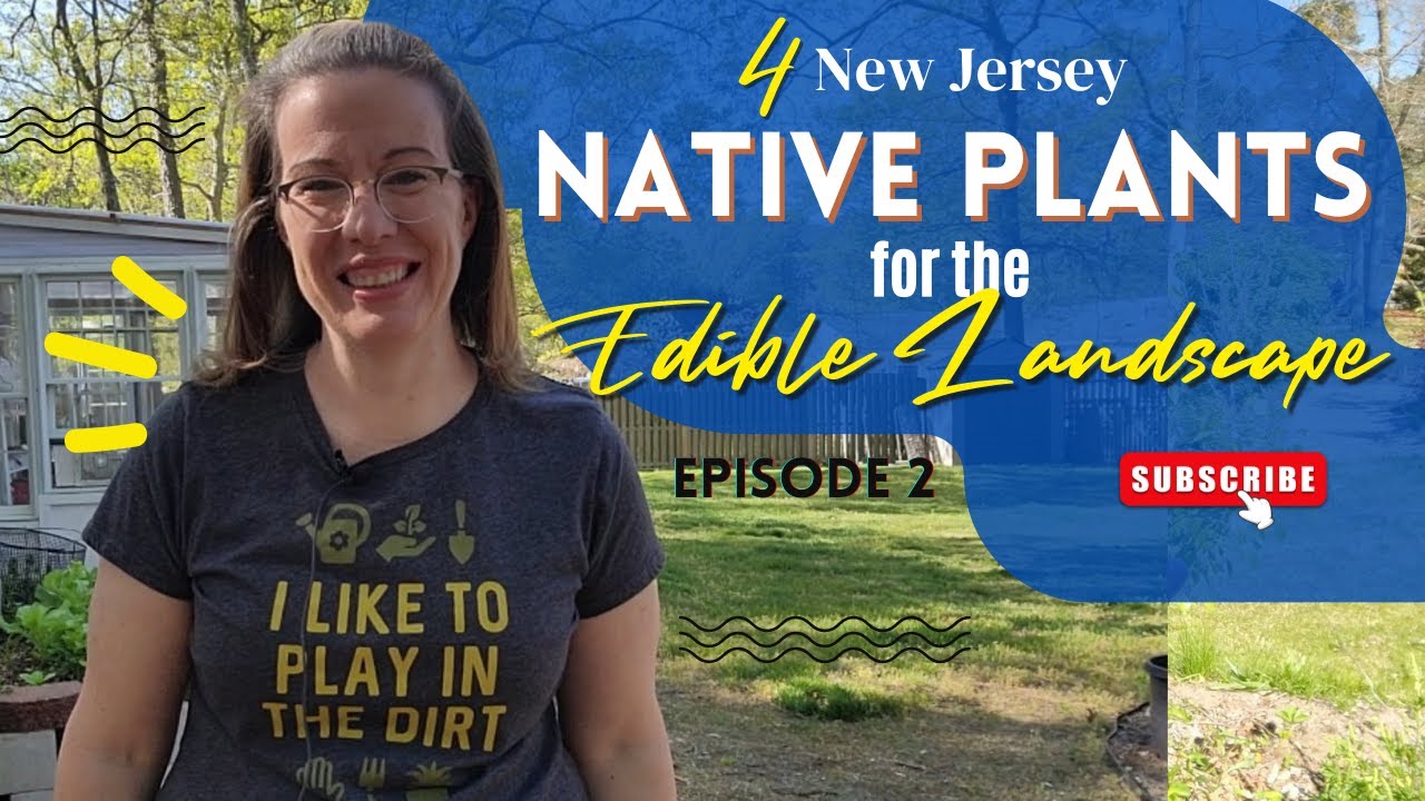 Edible NJ Native Plants 🌱 For your Edible Landscape Ep. 2