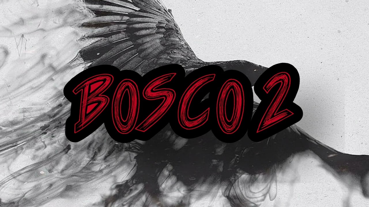 BOSCO 2