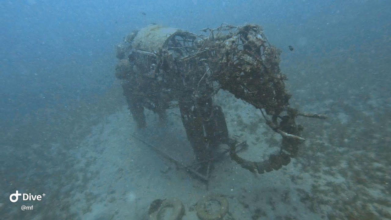 #Egipt #Dahab #diving #redsea #lighthouse #nurkowanie  dzień 1