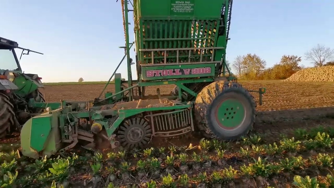 DEUTZ DX 85 mit STOLL 2 Reiher Rübenroder V202 Zuckerrübenernte im Heilbronner Land 2024