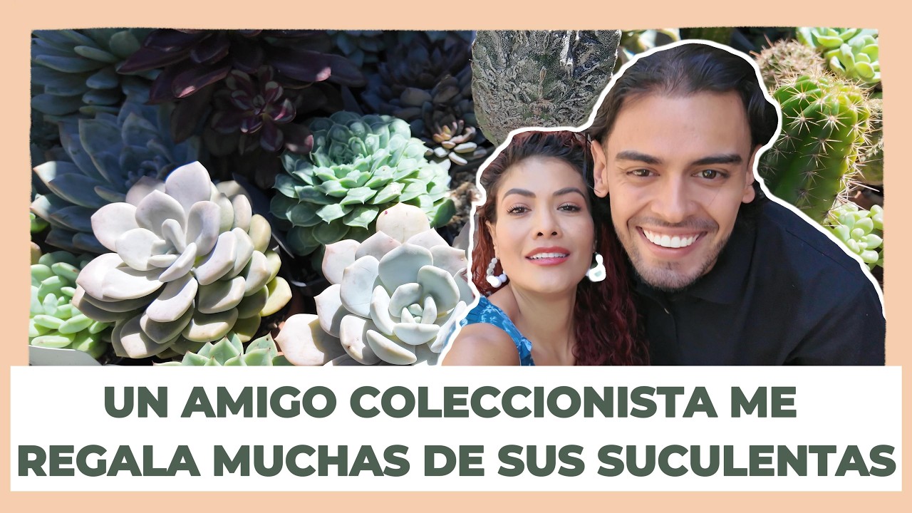 Me REGALARON  mas de 40 SUCULENTAS!!!😲💥🤯🌿🌵🍃¿Sabían que las PLANTAS también se pueden reciclar?