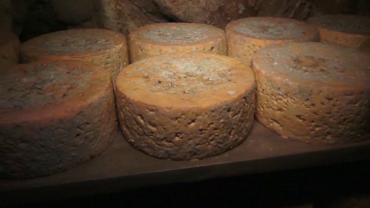 Queso Cabrales - Aula del queso Cabrales de quesería Main - Visita a cueva del Cabrales