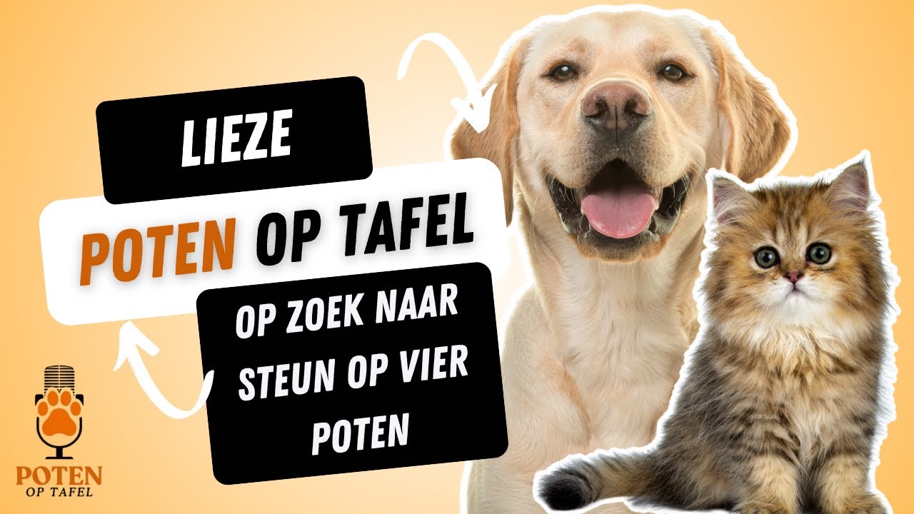 #27 Lieze – op zoek naar steun op vier poten 🐾