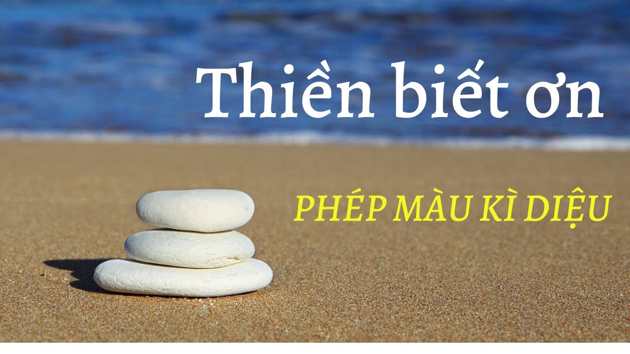 THIỀN BIẾT ƠN CUỘC SỐNG - QUY TR&Igrave;NH MỖI NG&Agrave;Y| LƯU THANH TH&Ugrave;Y