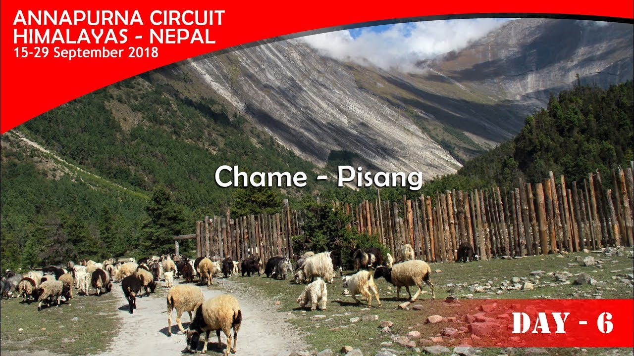 Annapurna Circuit  2018 - Day #6 ( Chame - Pisang )