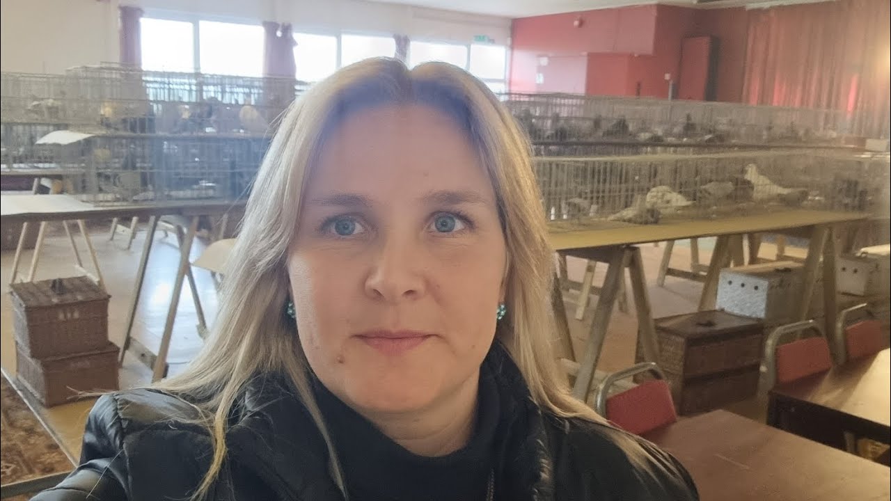 Judging at the Black Country Pigeon Show 2023