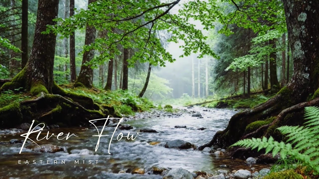 Calming Forest Creek Ambience | River Sounds for Insomnia (2 Hours)