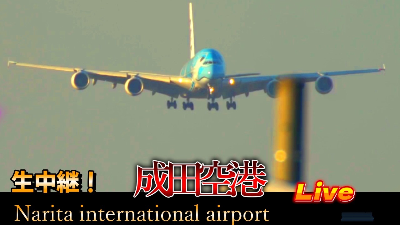 【2026/02/13 ❶】✈️成田空港 🛬本生📸中継 ライブ配信 【✈️Narita international airport ⌚𝐫𝐞𝐚𝐥 𝐭𝐢𝐦𝐞📸 Live】#live