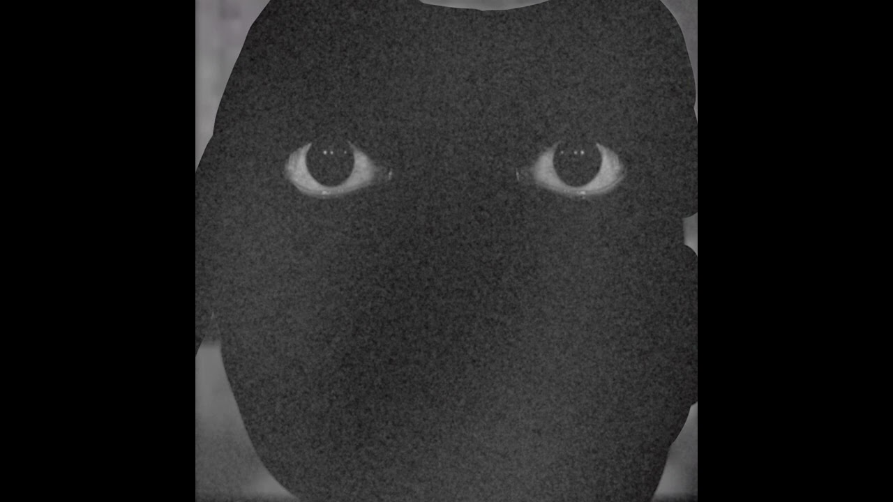 //DJ ZENITE\\ MONTAGEM LOST MEDIA//MEGA SLOWED\\