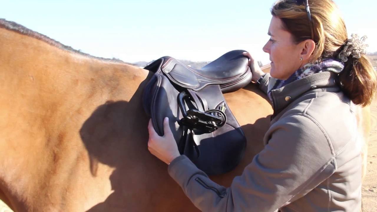 6 Steps to Properly Fitting Amerigo Saddles - Step 4