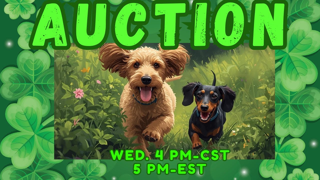 LIVE AUCTION with NANA TINK & ANGIE RESELLS Great Deals Buy Now