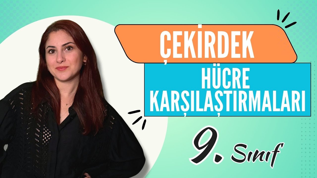 16) ÇEKİRDEK VE HÜCRE KARŞILAŞTIRMALARI | 9. SINIF | TYT BİYOLOJİ DERS NOTLARI | 2024