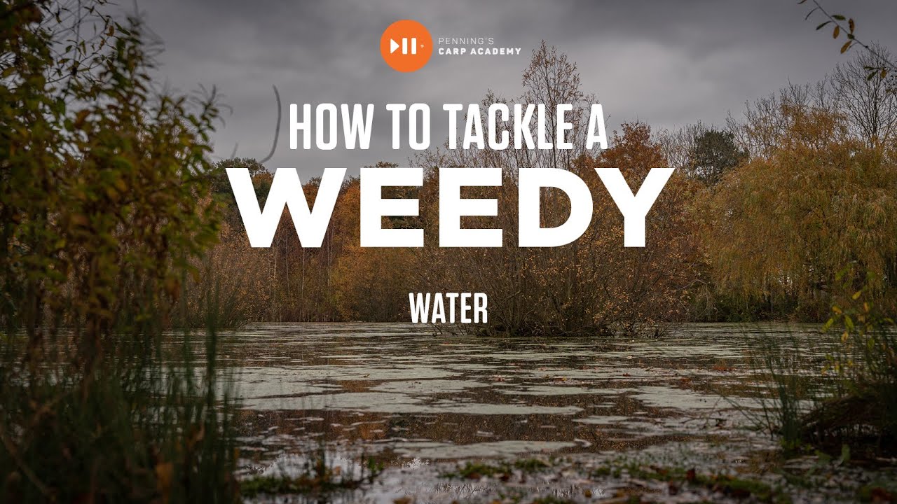 How Adam Penning Tackles a Weedy Lake | Carp Fishing Advice