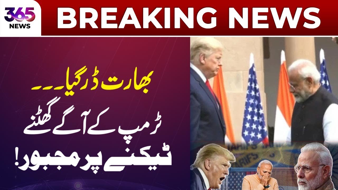 India Shows Diplomatic Deference Amid Global Discussions Involving Trump | 365 Plus