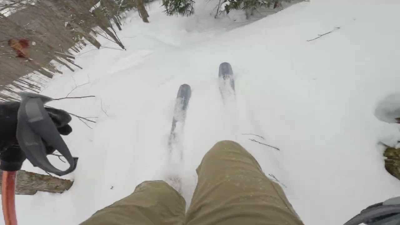 Northern VT Backcountry is still sweet - February 23, 2026