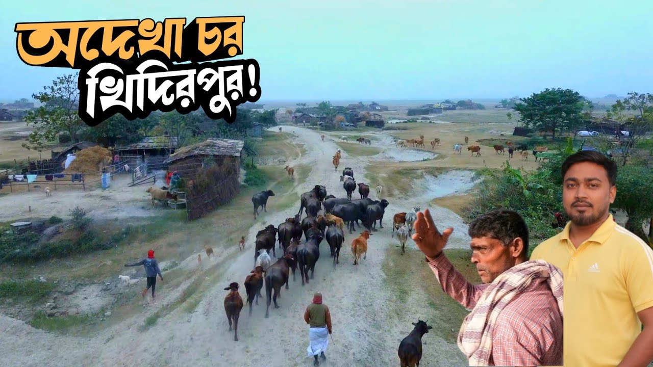 পদ্মার চরের অদেখা জীবন: চর খিদিরপুরের মানুষের গল্প | Rajshahi Char Khidirpur