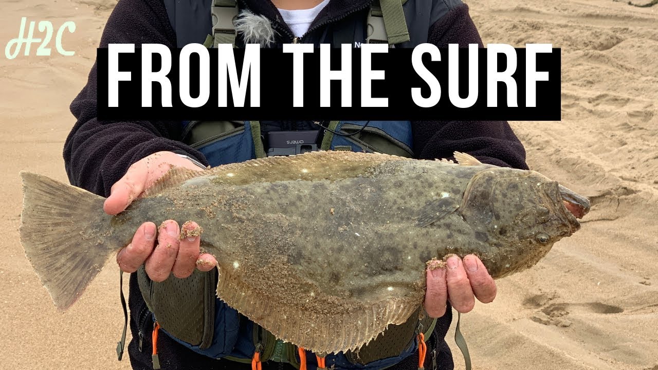 California Halibut on Lucky Craft Flash Minnow 110 while Surf Perch Fishing