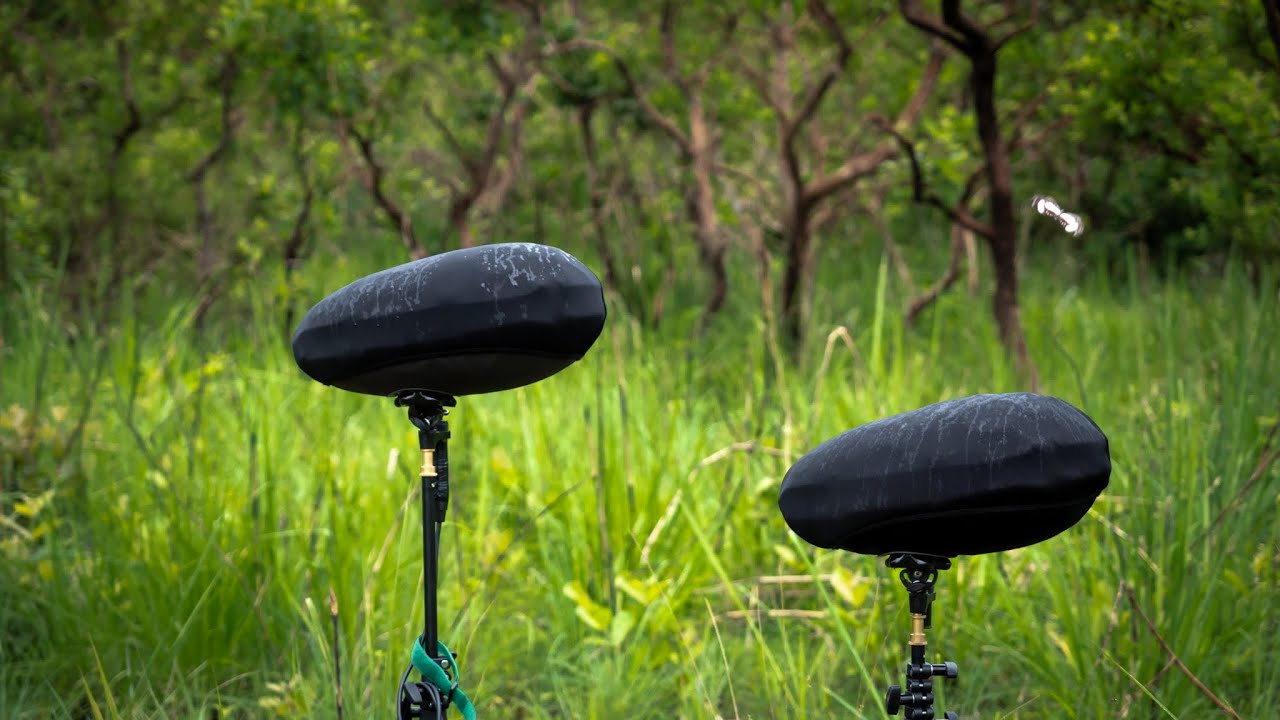 121 &ndash; Recording Rain with George Vlad and Thomas Rex Beverly