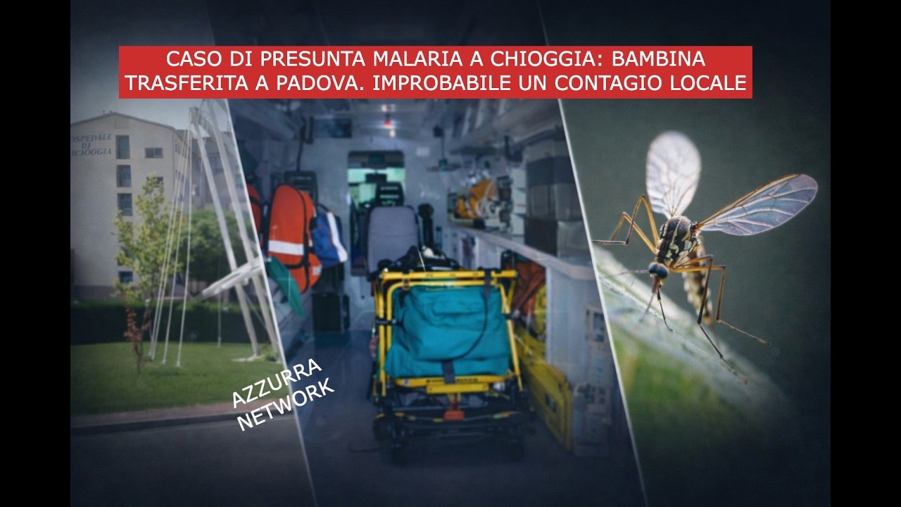 CASO DI PRESUNTA MALARIA A CHIOGGIA: BAMBINA TRASFERITA A PADOVA  IMPROBABILE UN CONTAGIO LOCALE
