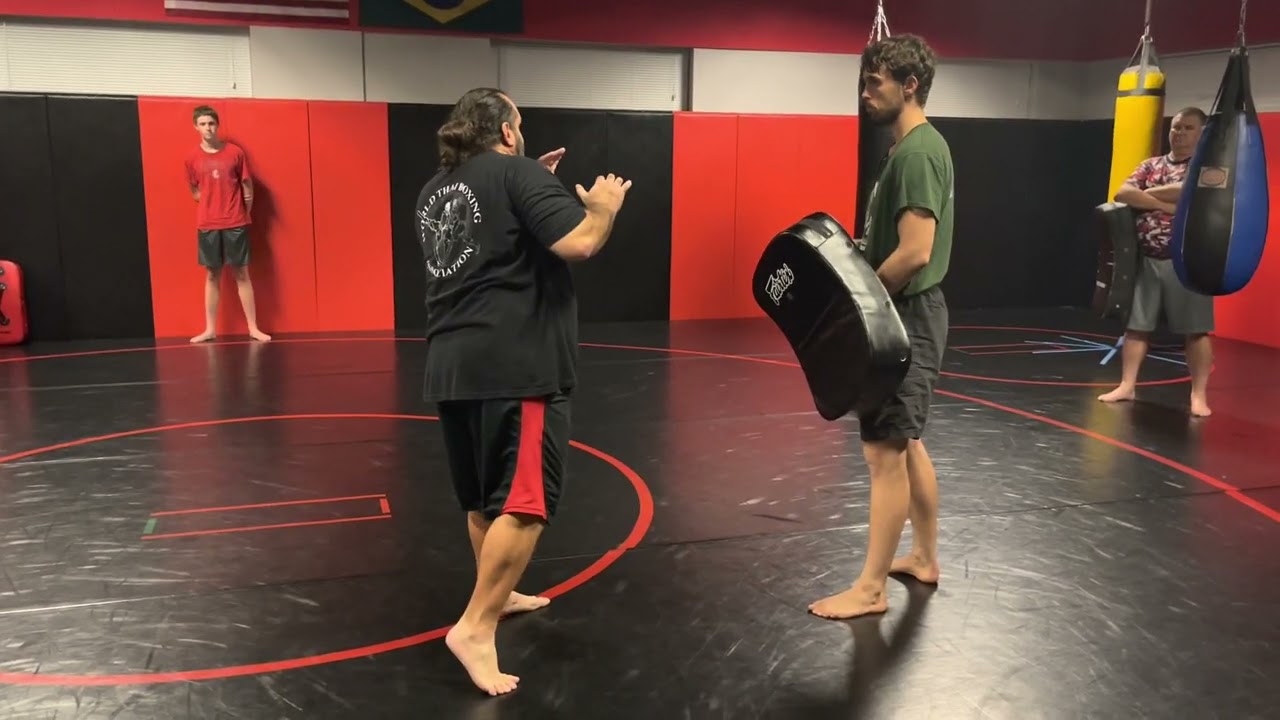 Muay Thai Rear Roundhouse and  Knee Strike