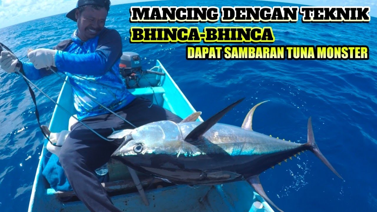 mancing dengan teknik bhinca-bhinca dapat Sambaran ikan tuna monster