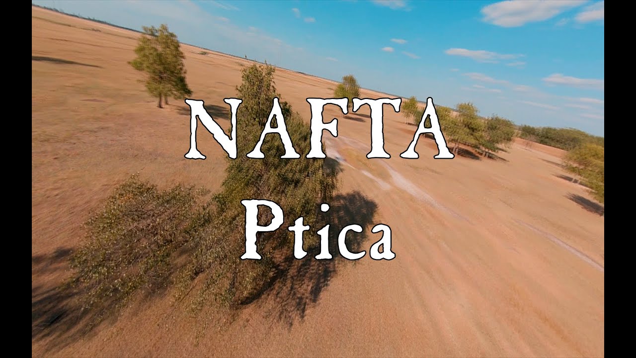 Nafta - Ptica [Official video HD]