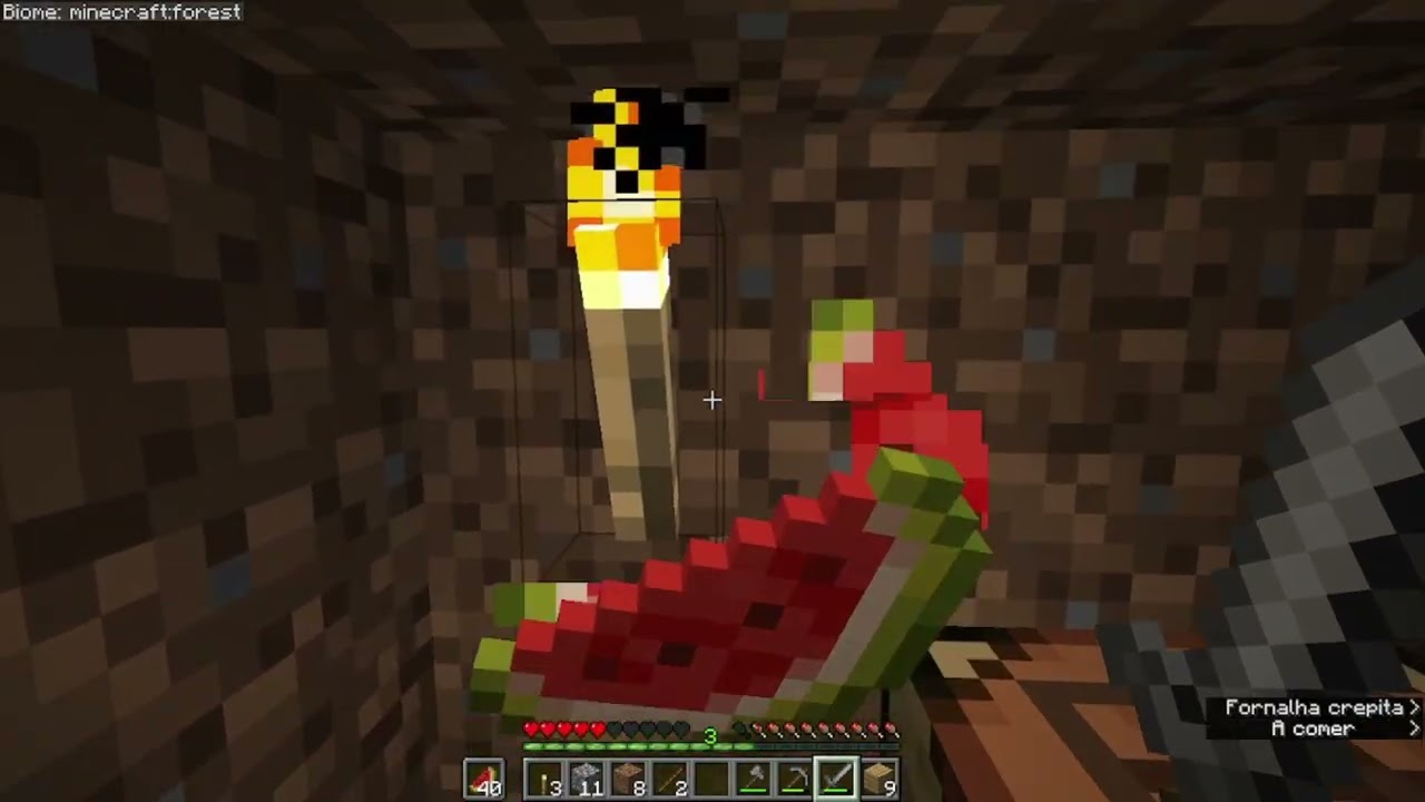 Minecraft Anna Júlia 1