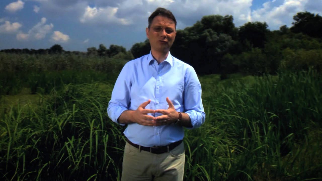 România Din | Interior - Digi24 - Luca Niculescu