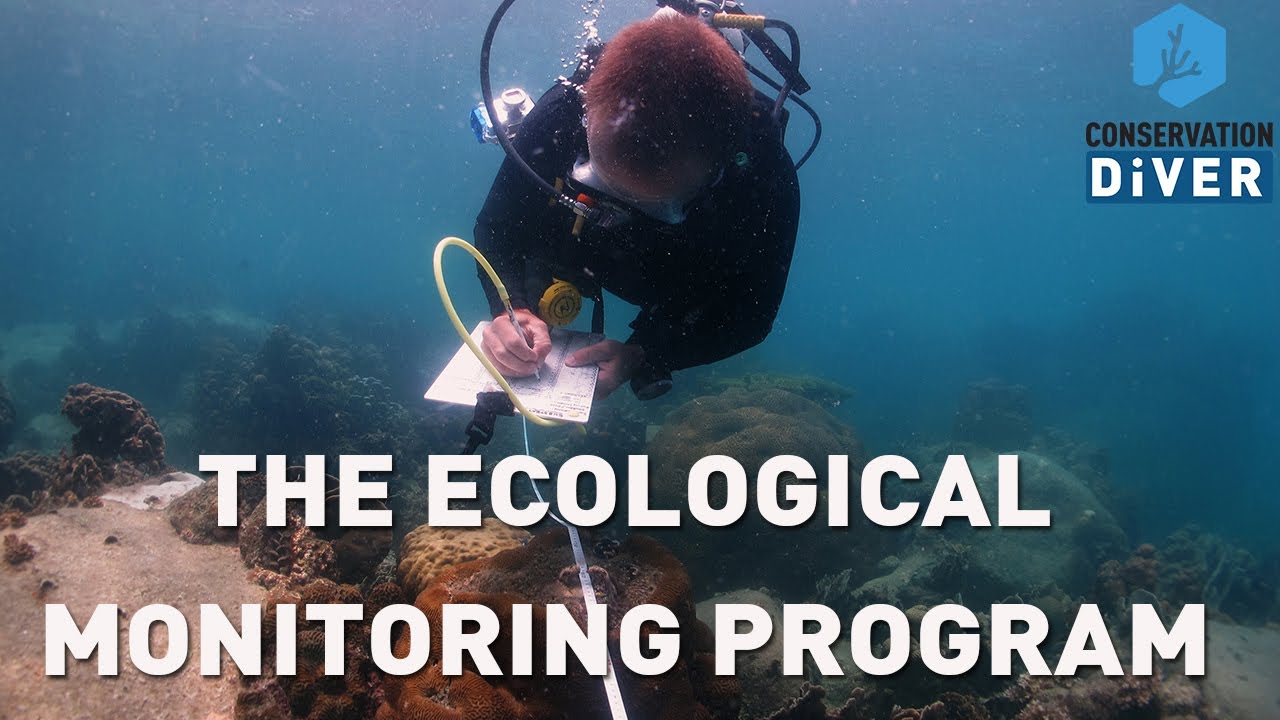 The Ecological Monitoring Program by Conservation Diver