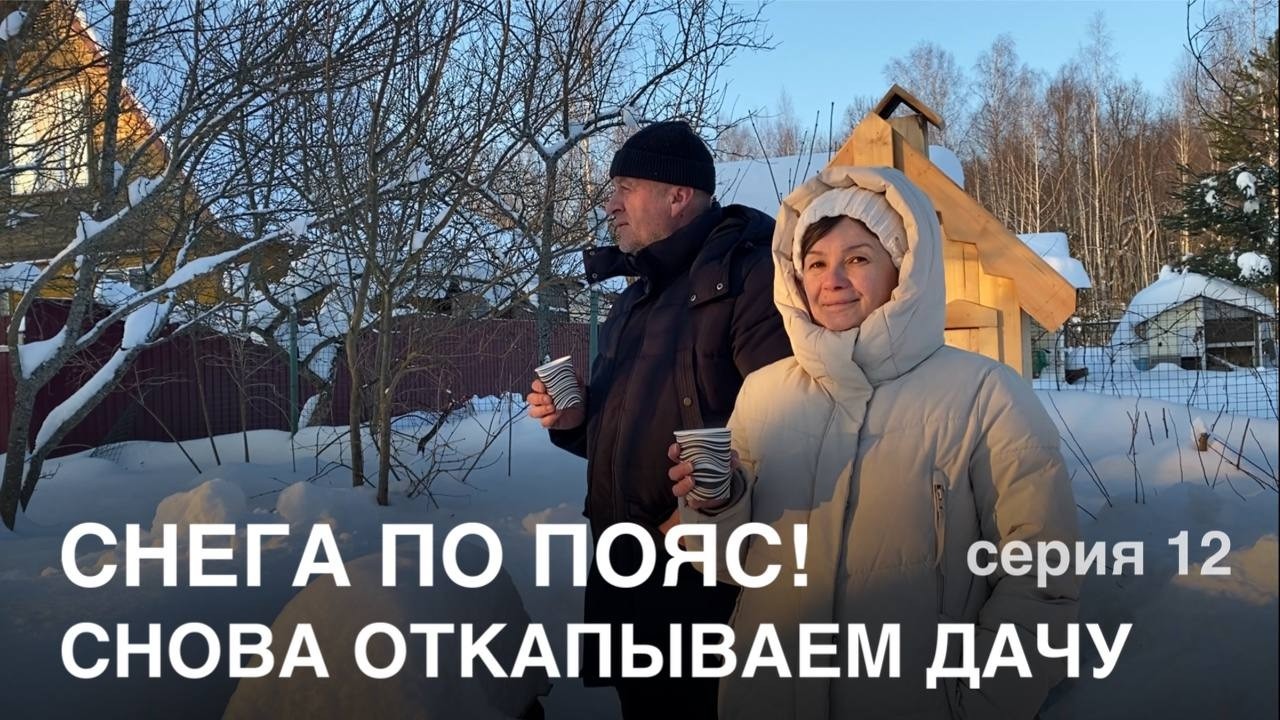 СНЕГА ПО ПОЯС! СНОВА ОТКАПЫВАЕМ ДАЧУ | серия 12
