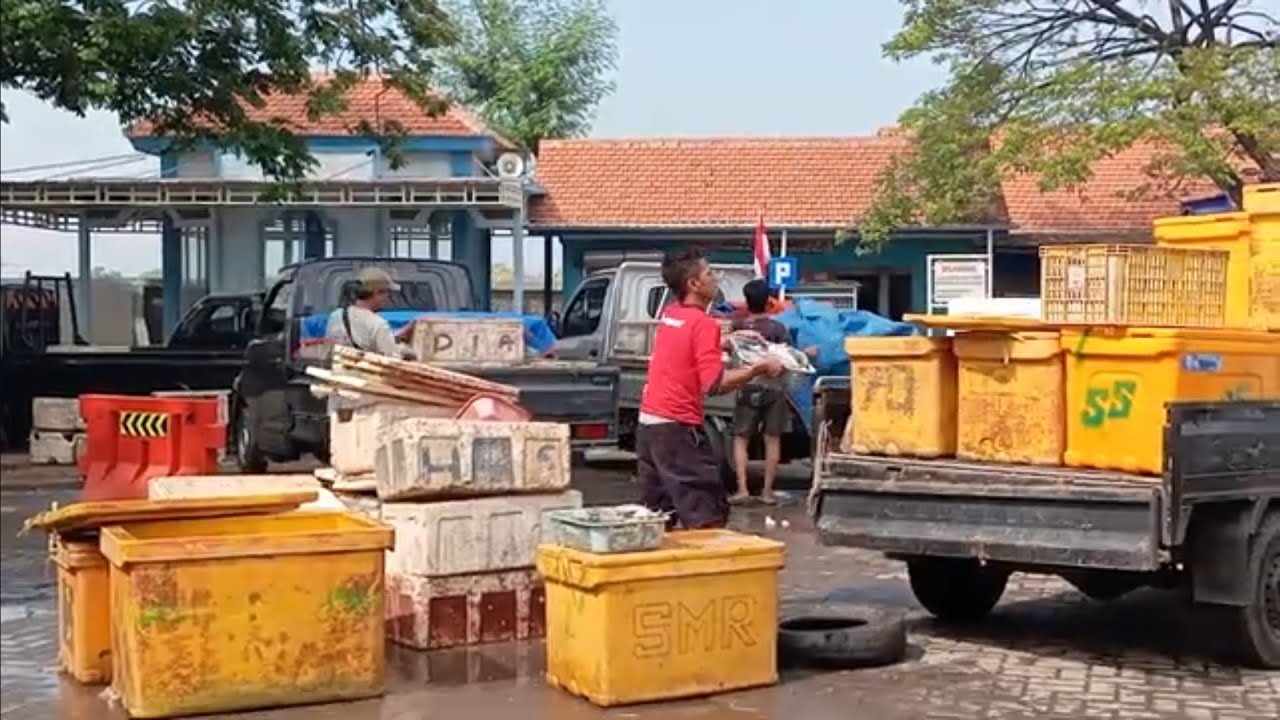 Cek Harga Ikan Depo Pemasaran Ikan Terbesar Sidoarjo