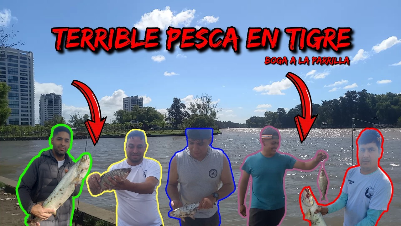 ¡EXPLOSION DE PIQUE EN TIGRE! bogas sin parar y terminamos comiendo a la parrilla 🔥🎣