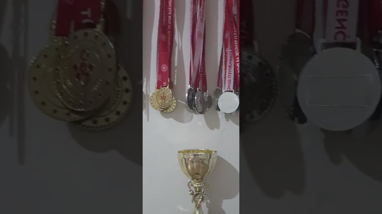 28 tane madalya 1 kupa.