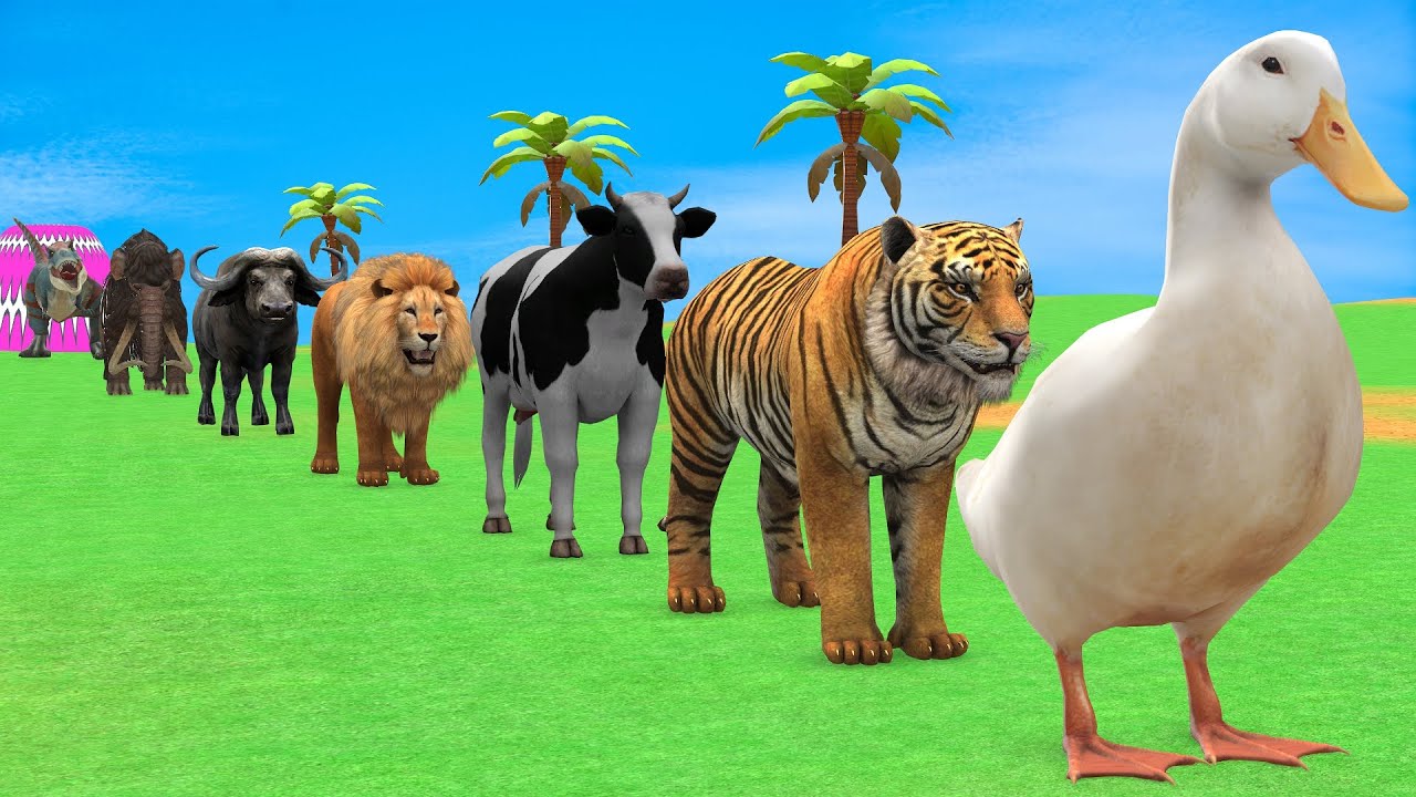 Long Slide Game with Cow Elephant Gorilla Hippopotamus Tiger 3d Animal Game Funny 3d Animals